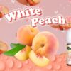 GENESIS系列 30ML 煙油